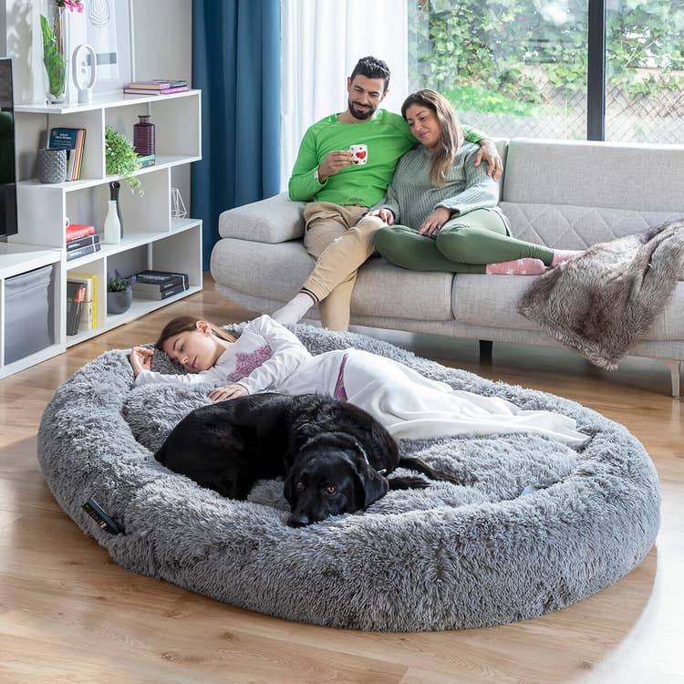 Giant Cozy Human Dog Bed ā XXL Oversized Lounger - MegaStore24