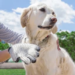 2 - in - 1 Pet Grooming Massage Glove - MegaStore24