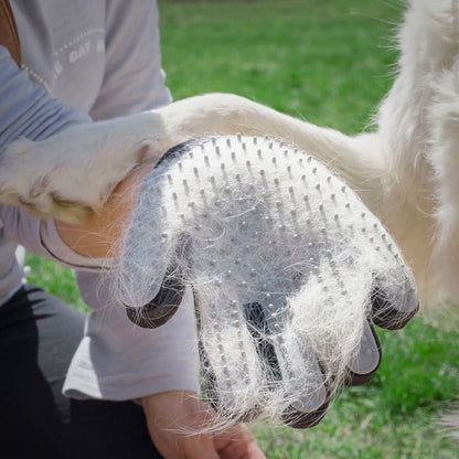 2 - in - 1 Pet Grooming Massage Glove - MegaStore24