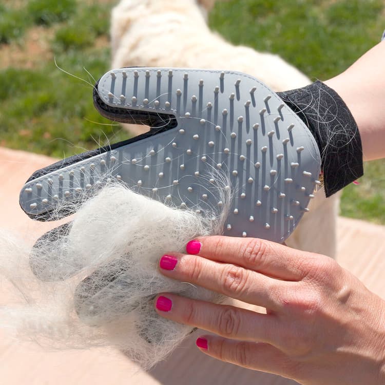 2 - in - 1 Pet Grooming Massage Glove - MegaStore24