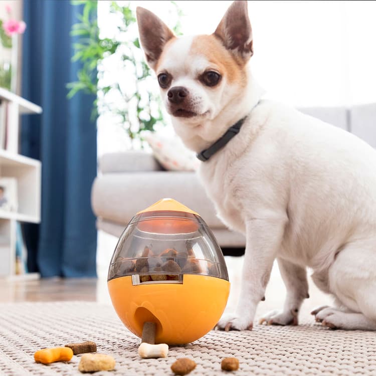 2 - in - 1 Pet Treat Dispenser Puzzle Toy - MegaStore24