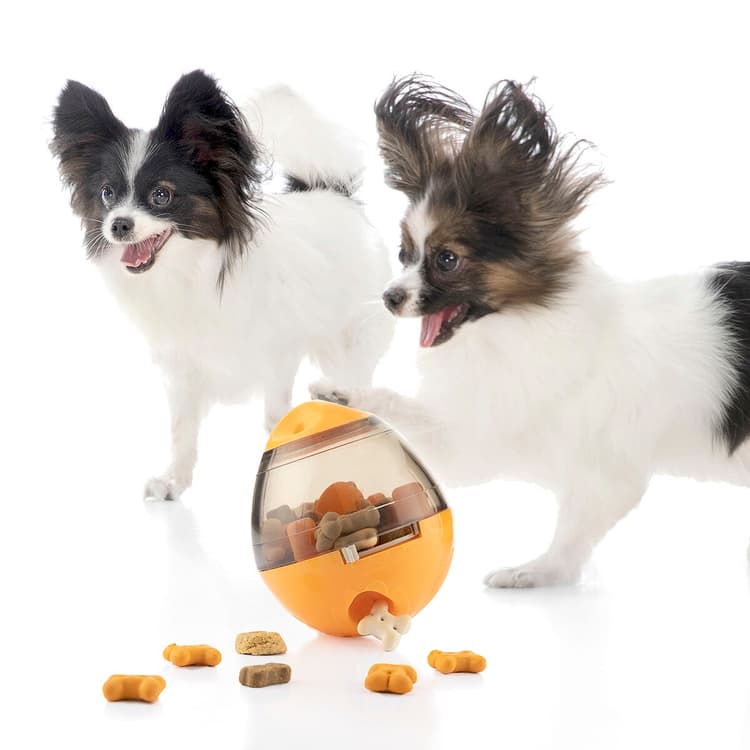 2 - in - 1 Pet Treat Dispenser Puzzle Toy - MegaStore24