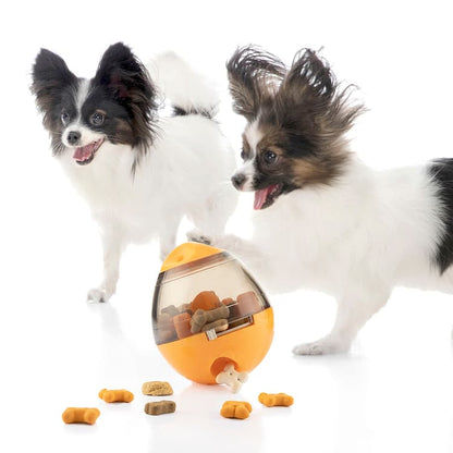 2 - in - 1 Pet Treat Dispenser Puzzle Toy - MegaStore24