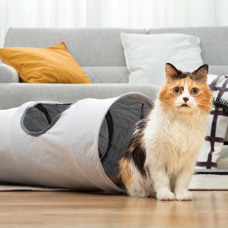 Collapsible Cat Play Tunnel Toy - MegaStore24