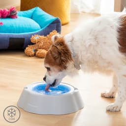 Cooling Gel Pet Water Bowl - MegaStore24
