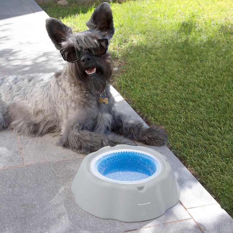 Cooling Gel Pet Water Bowl - MegaStore24
