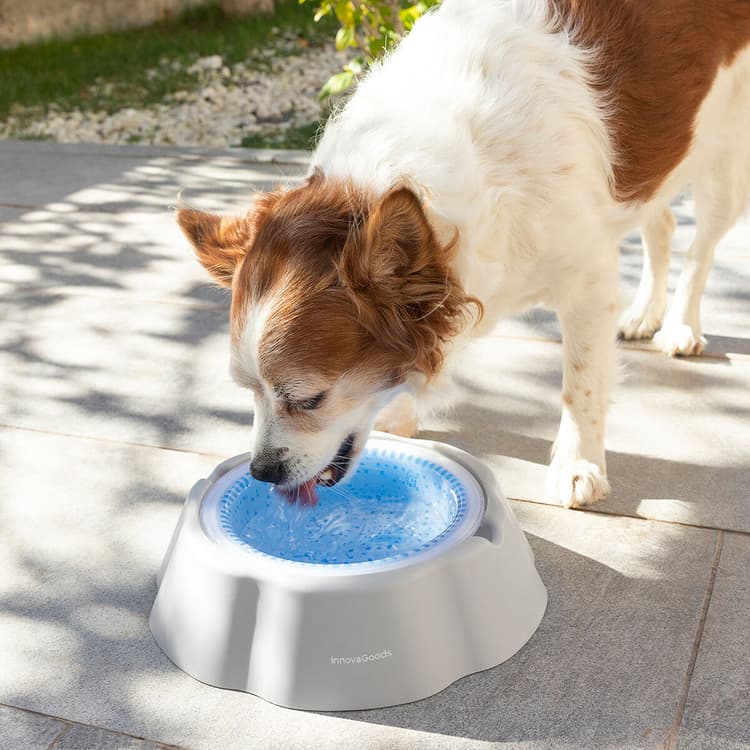 Cooling Gel Pet Water Bowl - MegaStore24