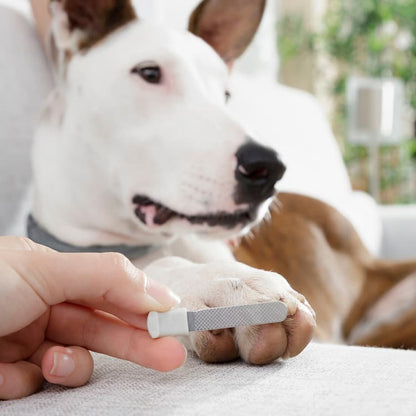 LED Pet Nail Clippers with Nail File - MegaStore24