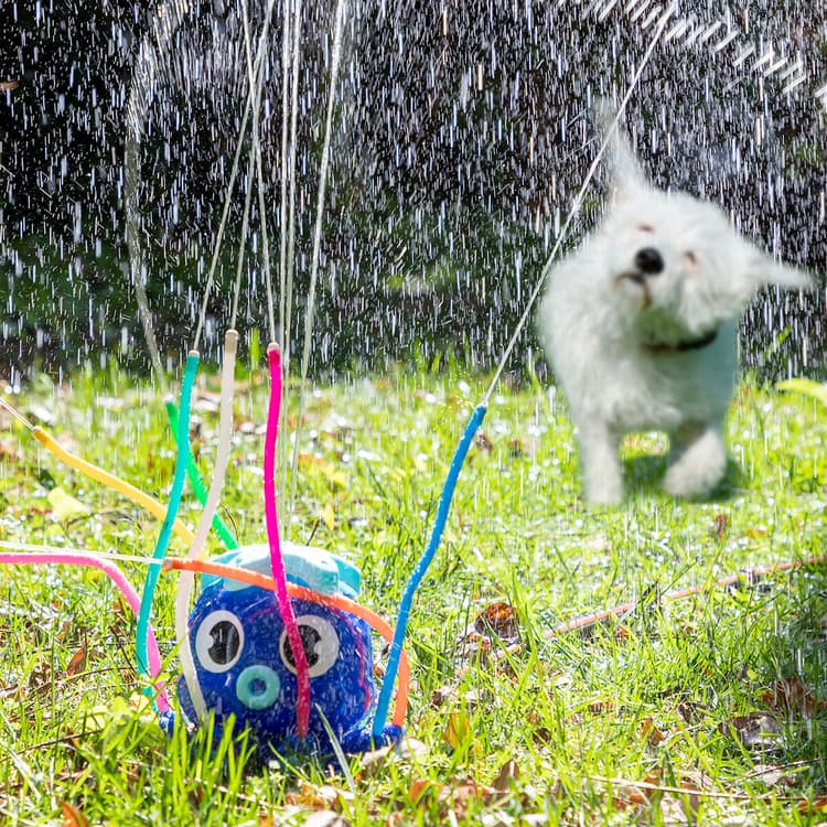 Octopus 360° Garden Water Sprinkler Toy - MegaStore24