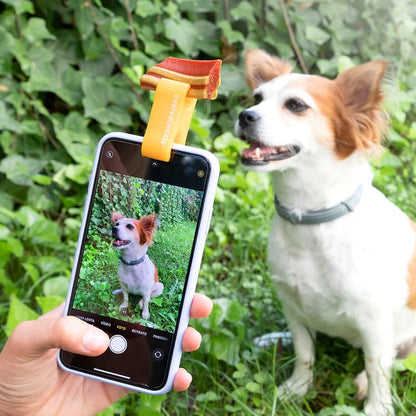 Pet Selfie Attention Clip for Phones - MegaStore24