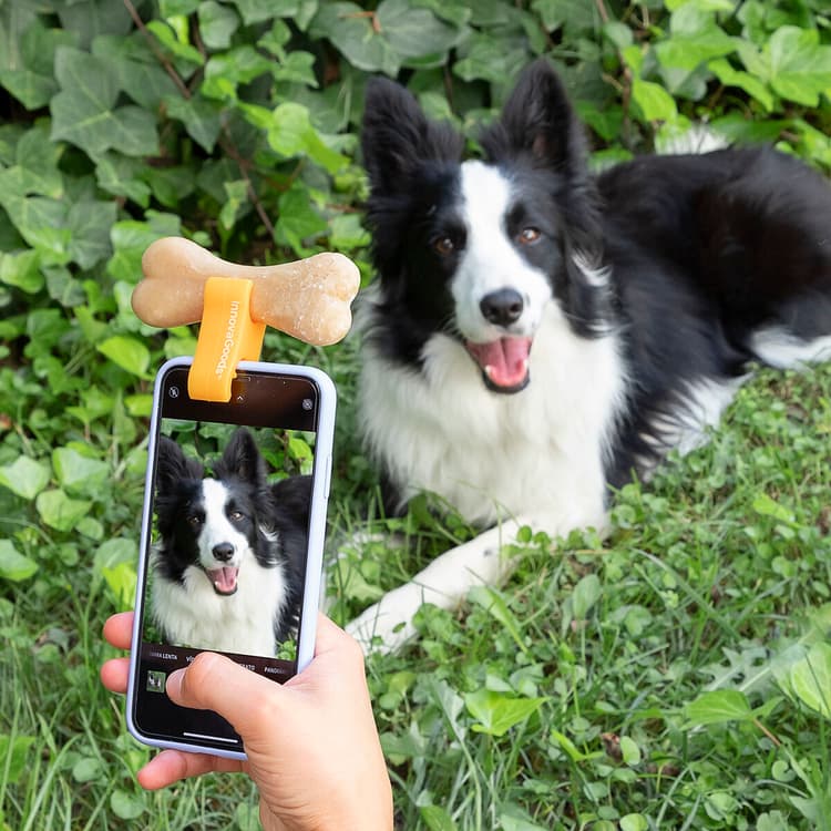 Pet Selfie Attention Clip for Phones - MegaStore24