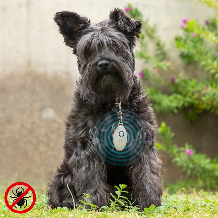 Ultrasound Rechargeable Pet Parasite Repellent - MegaStore24